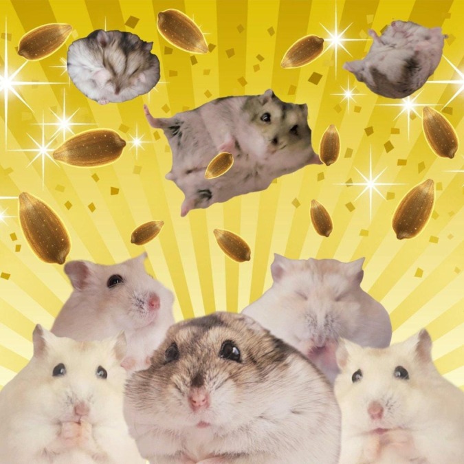 ありがぴ。明日は絶対おいしいとんかつを食べに行きたいです！！