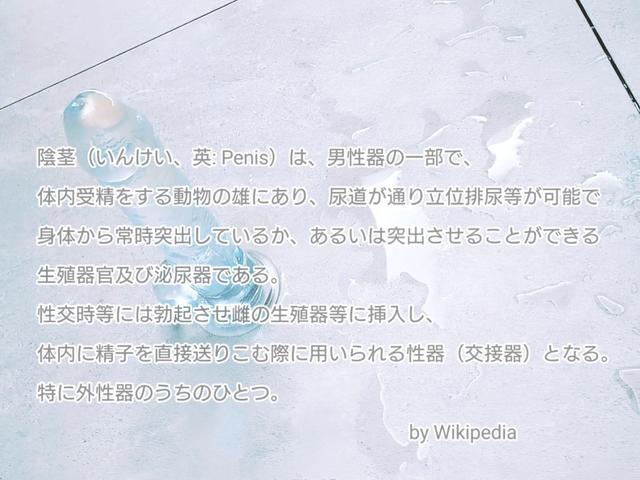 陰茎論(陰謀論みたいに言うな)