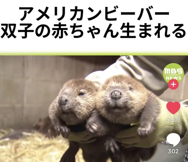 20時までだーい( ◜ ࿀ ◝ )