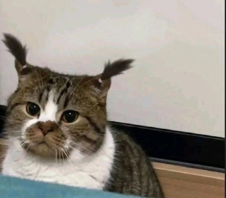 サラダうんまい