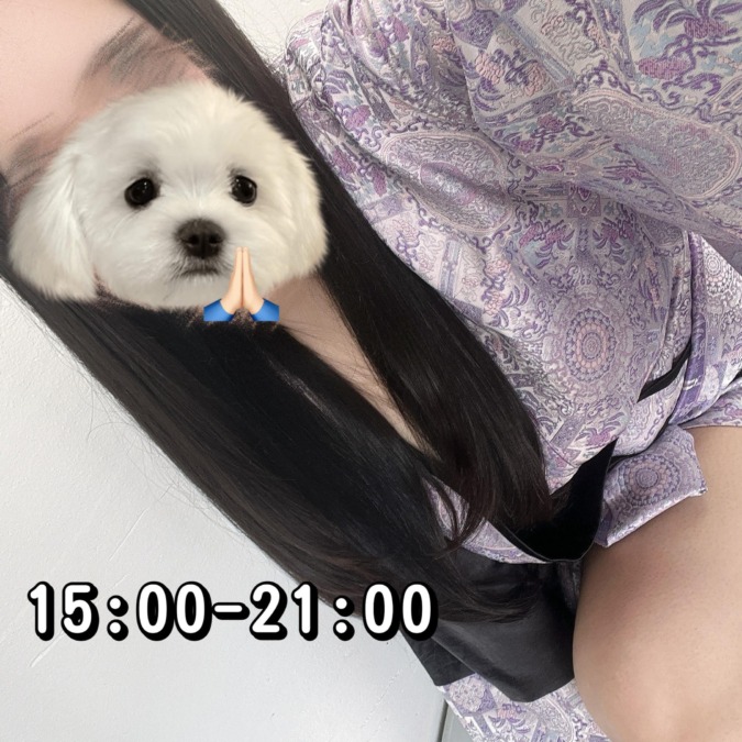 今日は夜までいます