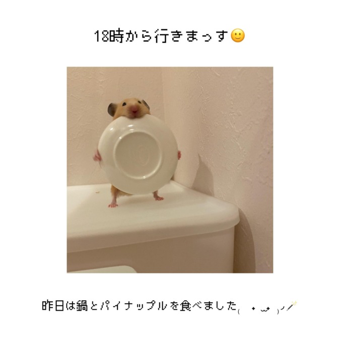 待ってるにゃ〜