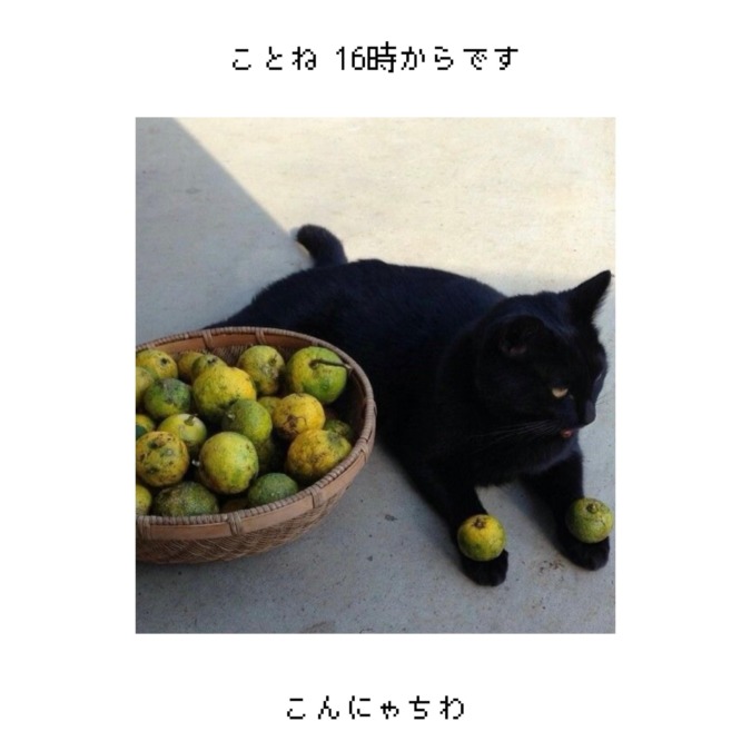 ぐっすり眠れました₍ᵔ· ̫·ᵔ₎