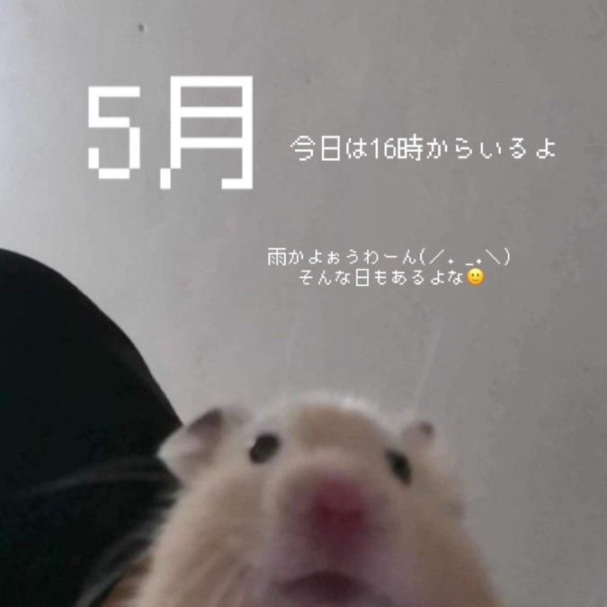 ごっっっ( ◜ ࿀ ◝ )