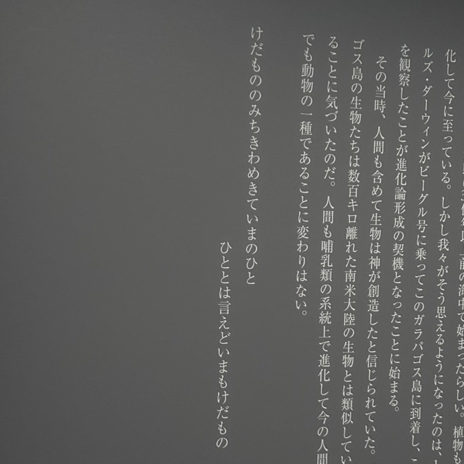 出かけてきた。夜分遅くにすみません₍ᵔ· ̫·ᵔ₎
